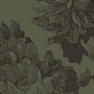 Meet your Posher, Ijr